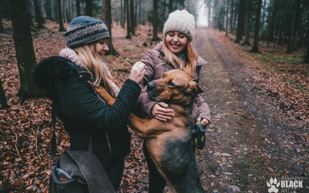 Vánoce v útulku Dogpoint